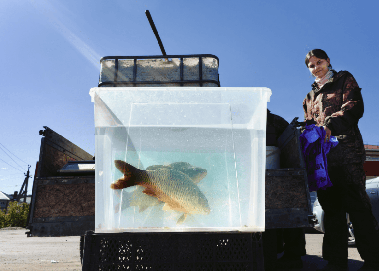 Untitled design - 2025-07-10T124127.015