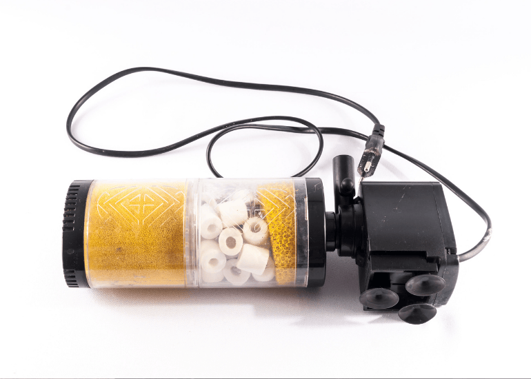 Untitled design - 2025-07-10T124157.919