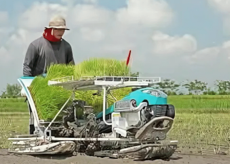 Untitled design - 2025-07-14T121706.774